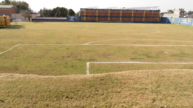 Here comes a description